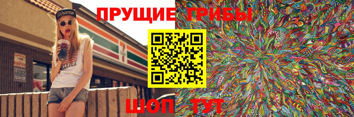 Псилоцибиновые грибы GOLDEN TEACHER Семилуки